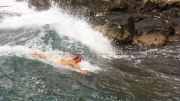 islandstuds-sexy-blonde-kip-pubic-bush-untrimmed-dick-hair-surfer-dude-ripped-muscle-white-bubble-butt-horny-jock-hairy-balls-013-tube-download-torrent-gallery-photo